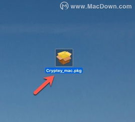 cryptey加密货币,揭秘其独特魅力与未来发展趋势