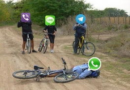 http //com.whatsapp,WhatsApp官方网站深度解析