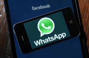 2019whatsapp信息接收不了,揭秘原因及应对策略