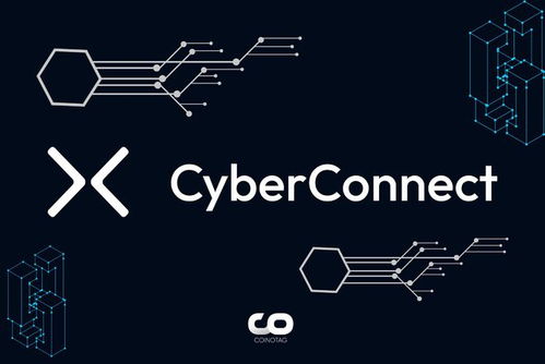CYBER加密货币,未来数字货币的璀璨之星