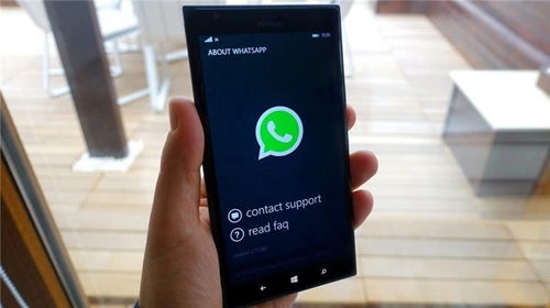 2019whatsapp最近用不了了,原因与解决方案揭秘