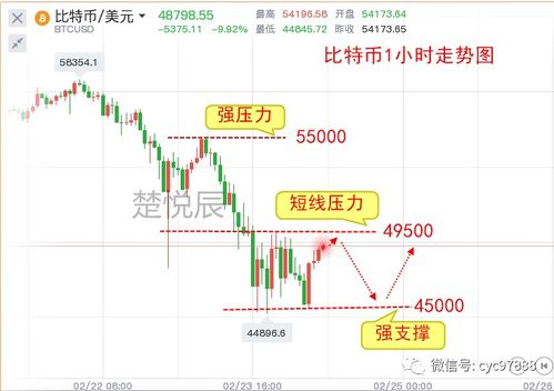13000个以太坊,揭秘数字货币的崛起之路