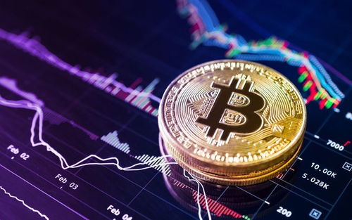 300043加密货币,揭秘热门加密货币的潜力与风险