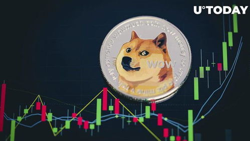 DOGE币是以太坊,崛起的加密货币传奇