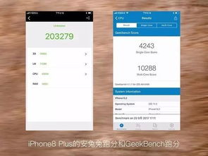 iphone8 skype 找不到,寻找解决方案的困惑之旅