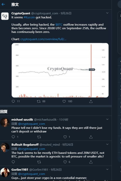 kucoin可以加密货币吗,加密货币交易与加密货币投资指南