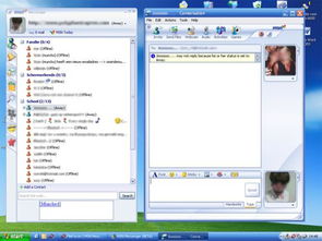 jumblo好还是skype好,揭秘哪个在线通讯工具更胜一筹？