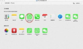 icloud里有whatsapp的备份,数据恢复与隐私保护指南