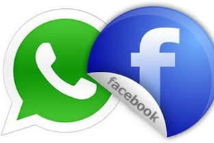 facebook 收购 whatsapp,重塑即时通讯市场格局