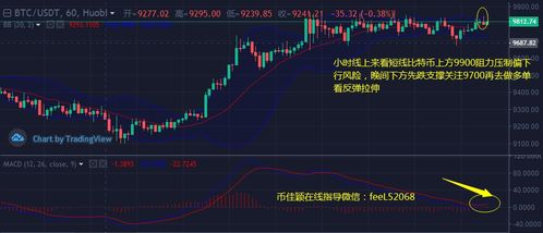 bch能超过以太坊的价格吗,价格超越之路展望