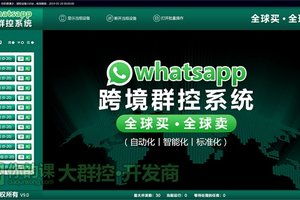 9whatsapp,全球热门通讯应用的崛起之路