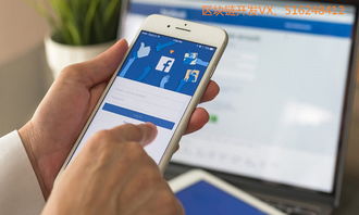 facebook团队加密货币,引领数字货币新时代的神秘力量揭秘