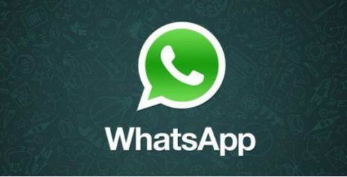 callkit vs whatsapp,比较两种即时通讯平台的通话功能