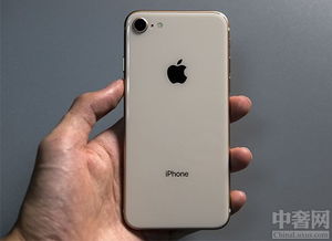 iPhone8不能登录skype,原因及解决方案揭秘