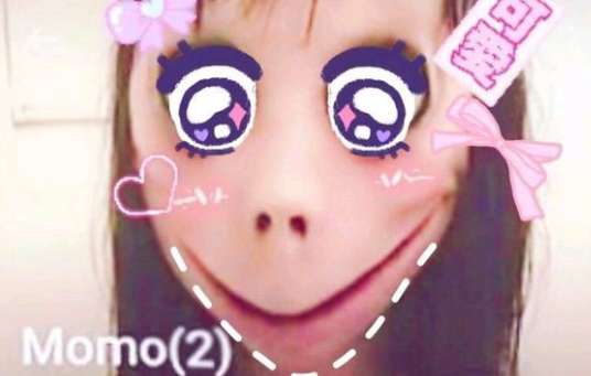momo的whatsapp是多少,探寻神秘社交巨头WhatsApp的神秘联系”