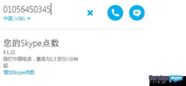 skype 日本,探索Skype在日本的文化影响力