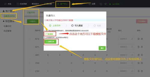 skype 自动添加好友吗,高效拓展社交圈的利器