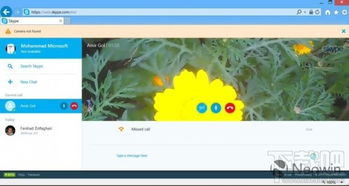 skype 网页板,无缝连接的在线通讯利器