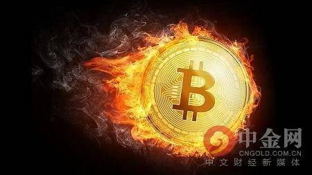 finder.com 加密货币,市场动态与投资指南