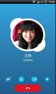 android skype 冲突,Android系统下Skype应用冲突解决攻略