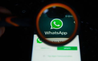 annie kim whatsapp,揭秘社交新宠的崛起之路