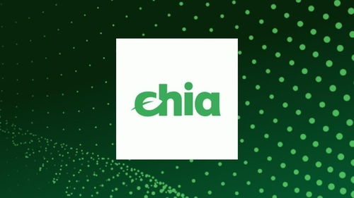 chia能挖以太坊么,Chia矿机能否参与以太坊挖矿？深度解析