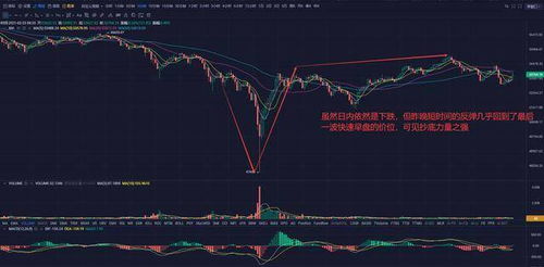 2.23亿加密货币,揭秘数字货币的崛起与未来趋势