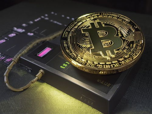2023发行的加密货币,创新与变革的先锋力量