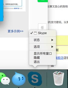 mac skype怎么退出,如何从Mac版Skype中安全退出