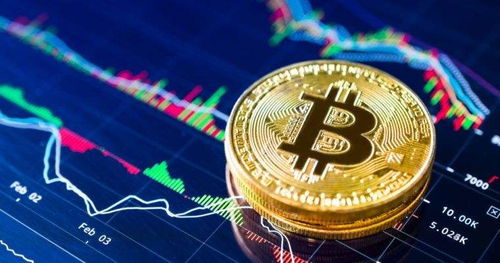 dmd加密货币价格,实时走势与市场分析概览