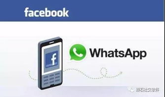 facebook与whatsapp绑定,解锁社交新纪元