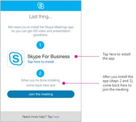 ios 如何装 skype