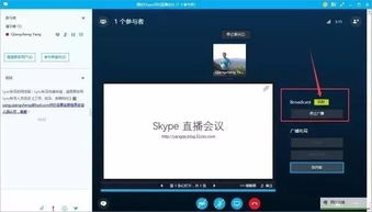 2点skype开会,共谋发展之道