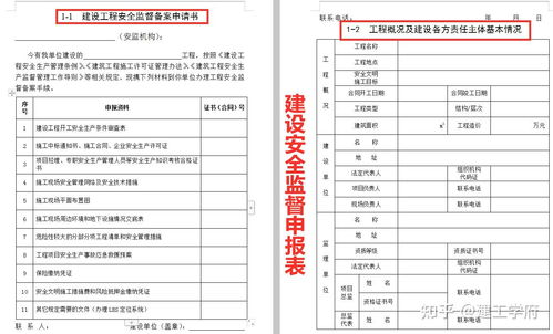 机场安全员模拟器 