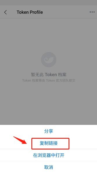 imtoken币种后有个骷髅头,IMToken上的神秘加密货币解析