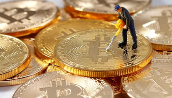 ceo研发加密货币,研发加密货币打造未来金融新纪元