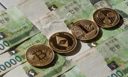 19年加密货币交易量,市场动态与趋势洞察