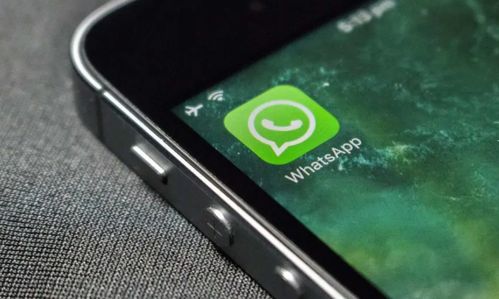 2021whatsapp新功能,革新沟通体验