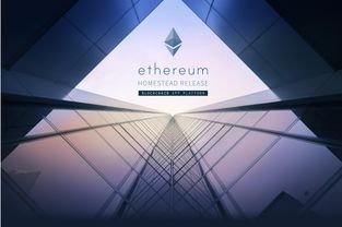 2018秒以太坊,从2018秒见证区块链奇迹