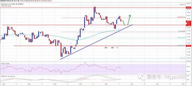 2020柚子跟以太坊