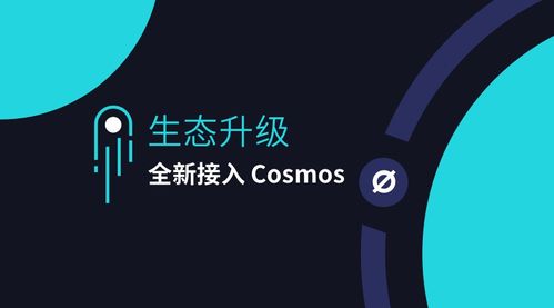 imtoken支持的公链大全