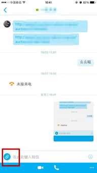 iphone6上没有skype,通讯体验受限